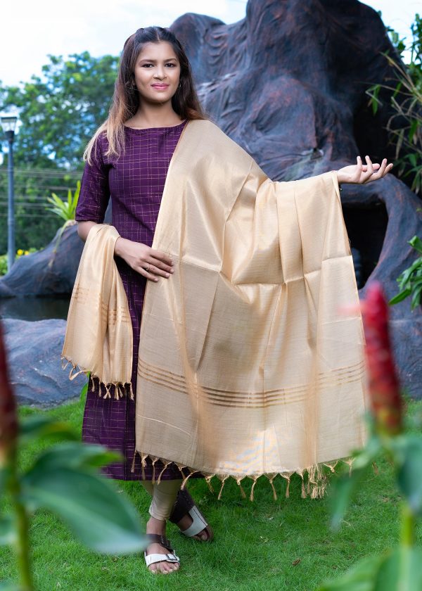 Raw silk slub fancy zari checks with golden tissue dupatta 3